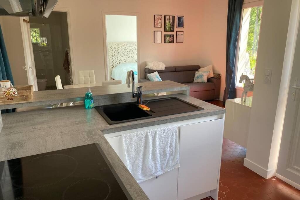 Petite Maison De Charme - Le Jardin Secret D'Alice Roquebrune-sur-Argens Buitenkant foto